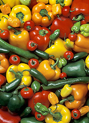 how to grow peppers and how to start  a vegetable garden